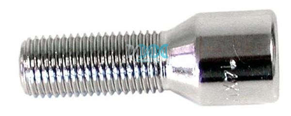 Allen Cap Bolt 14X1.5 (Long)Ch