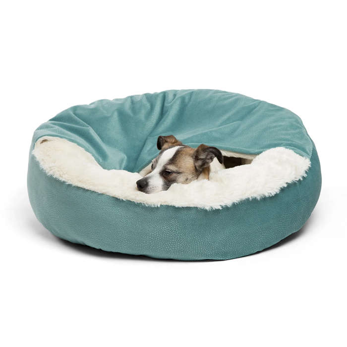 Cozy Cuddler Ilan Dog & Cat Bed Tide Pool - Small