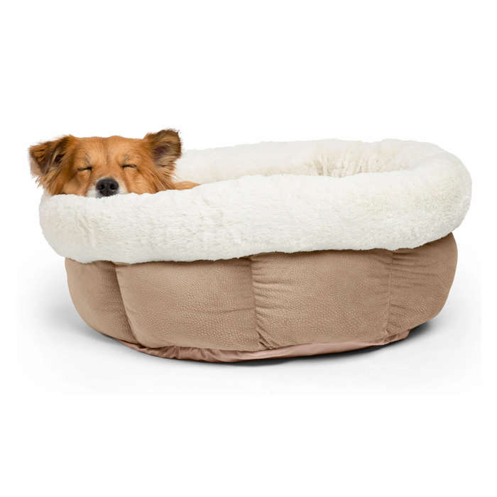 Cuddle Cup Ilan Dog and Cat Bed Mini - Wheat