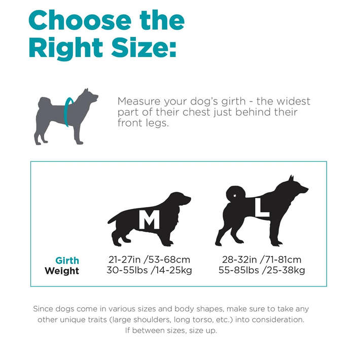 Outward Hound Carrier Day Pak Blue Medium