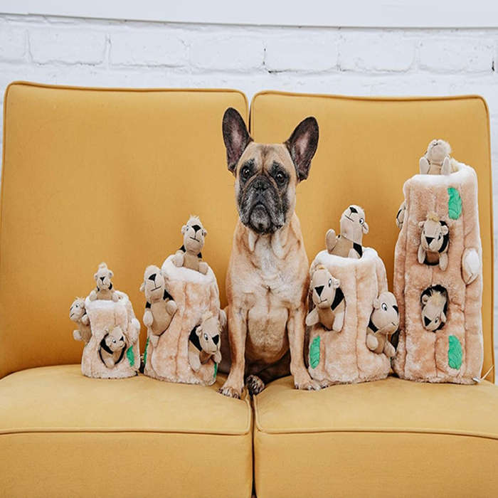 Outward Hound Hide a Squirrel Toy X-Large