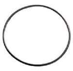 POOL FILTER LID AQUAMAX O RING (POPULAR)