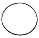 POOL FILTER LID O RING AQUAMAX (POPULAR)