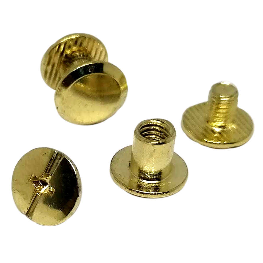 50pcs Interlocking screw 6mm, Inter screw, Interlock screw, Connecting screw, Chicago screws, screw