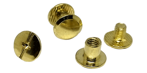 50pcs Interlocking screw 6mm, Inter screw, Interlock screw, Connecting screw, Chicago screws, screw