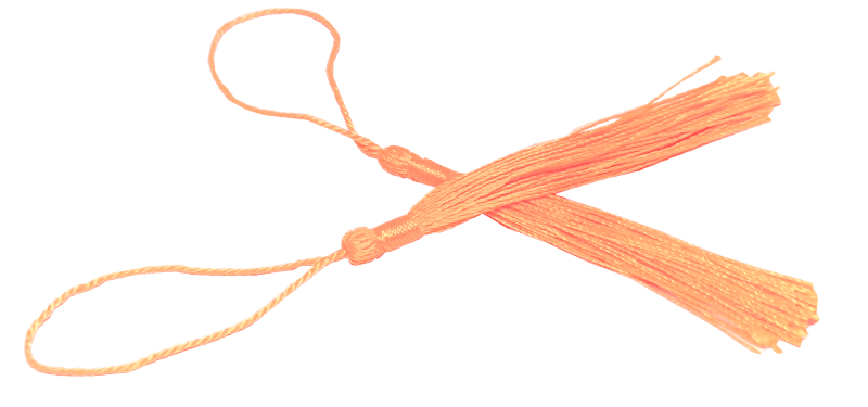 100pcs Orange Tassel, Thread 80mm with loop