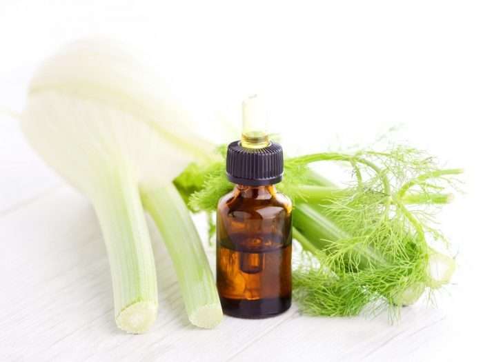 Fennel Essential Oil10 ml (1/3 oz). 100% Pure, Undiluted