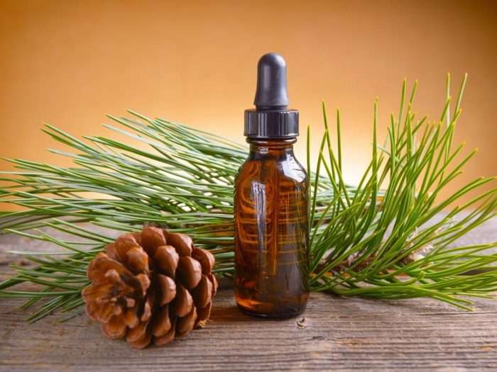 Pine Essential Oil10 ml (1/3 oz). 100% Pure, Undiluted