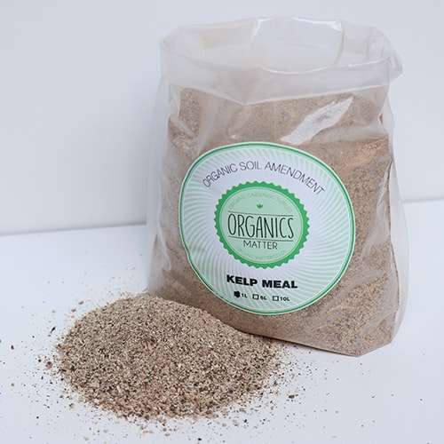 Kelp Meal - 1 Litre