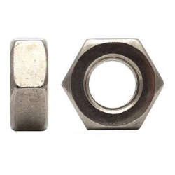 Hex Half Nuts M6 ST/ST