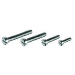Machine screw cheese head slot M2.5x12 ST/ST 304