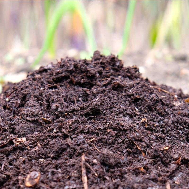 Palm Gardens Large Organic Compost- 20kg