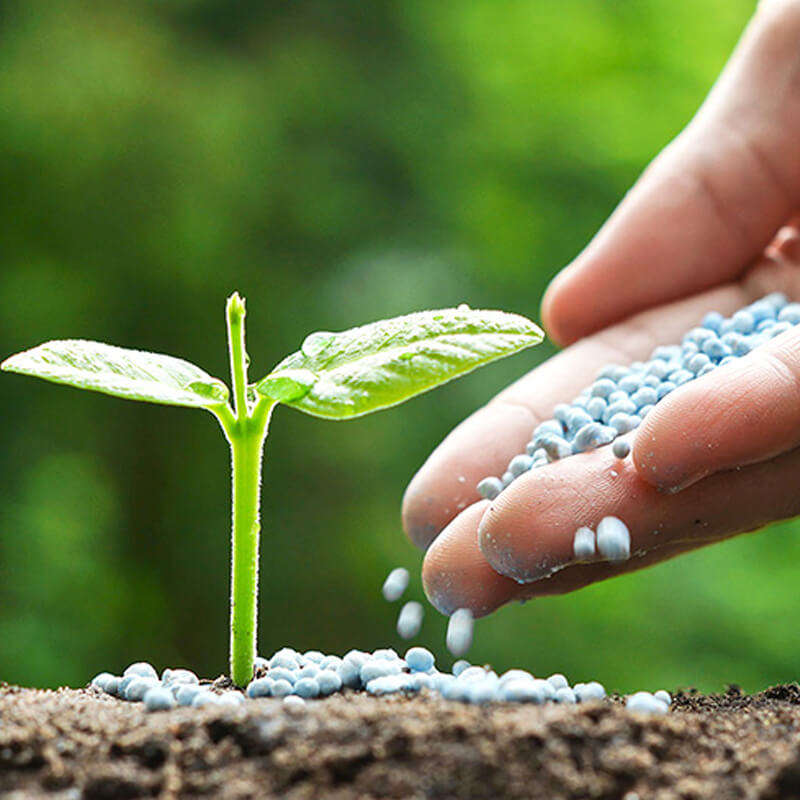 Palm Gardens 2-3-2 Fertilizer - 500g