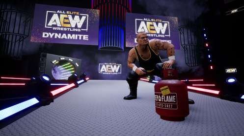 AEW: Fight Forever (PS4)(New)