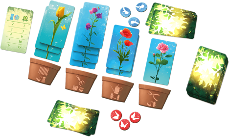 Blossoms (New)