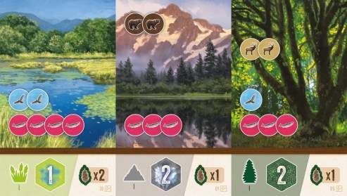 Cascadia: Rolling Hills (New)