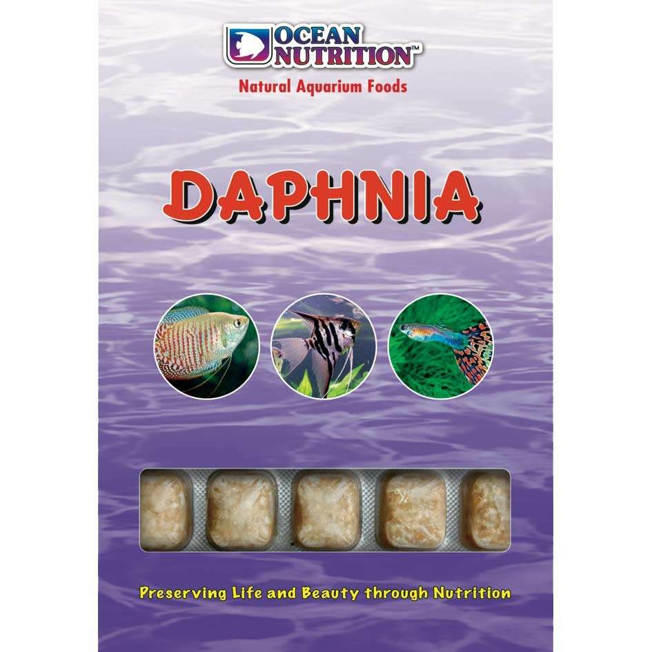 Ocean Nutrition Daphnia