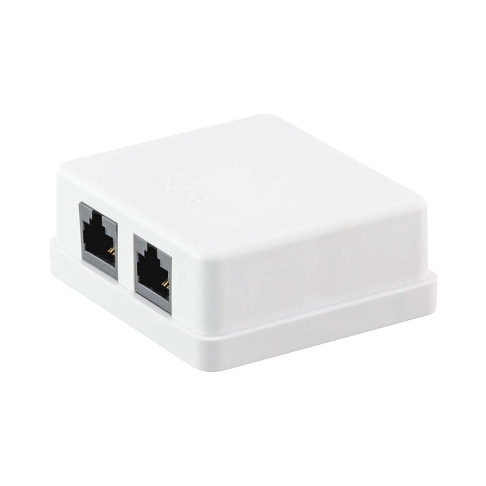 DOUBLE CAT6 WALLBOX