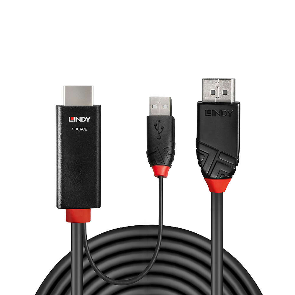LINDY 2M HDMI MALE TO DP MALE (41499)