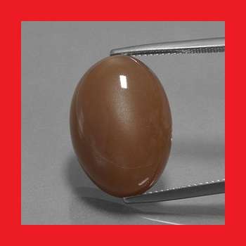 MOONSTONE (NATURAL) - MOCHA BROWN OVAL CABOCHON - 62.52cts