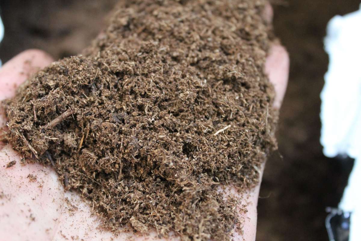 Peat Moss Bale 15 litre