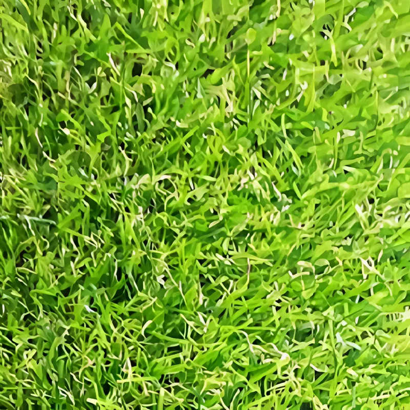 Artificial Grass 23mm 5mx2m