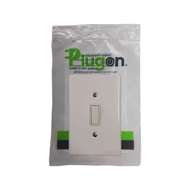 PLUGON Light Switch Steel 1 Lever 4 x 2