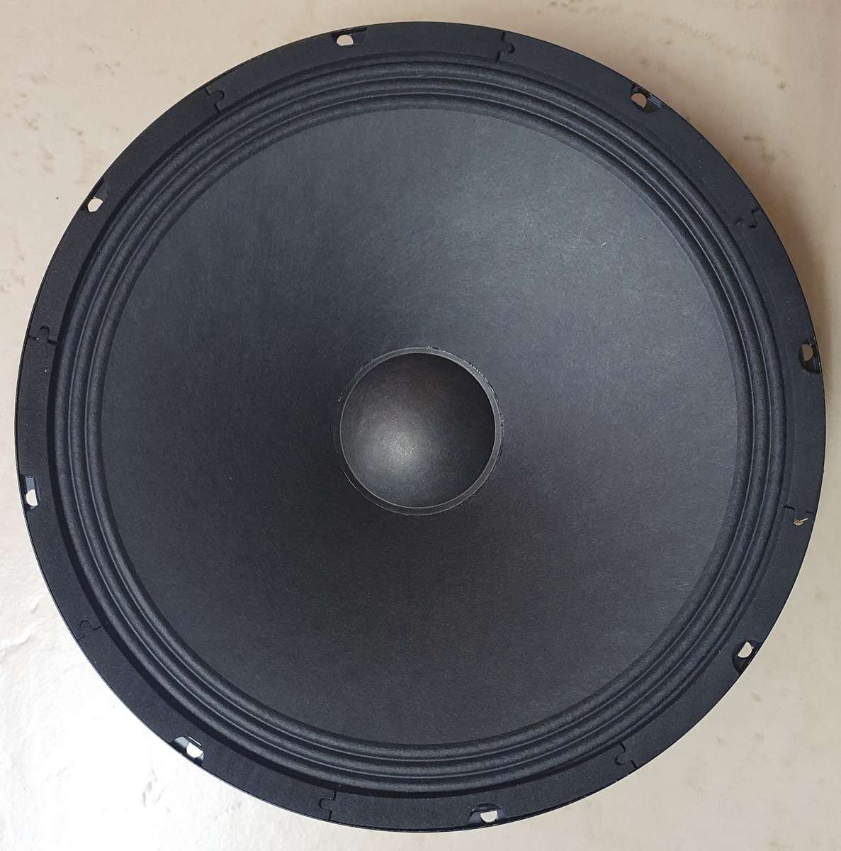 12" Loose Speaker Driver (10oz,300W )