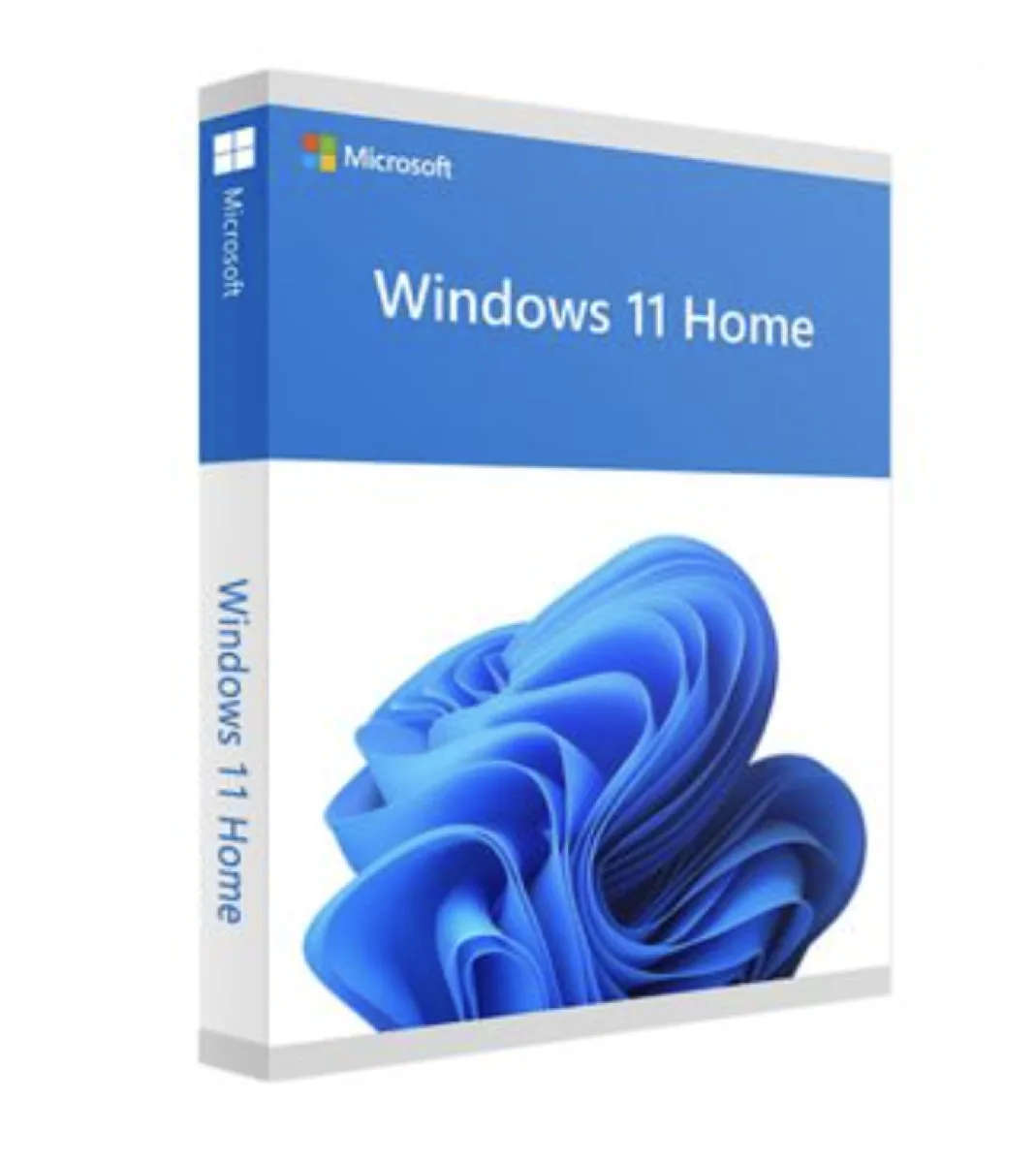 Windows 11 Home 64 Bit DSP- Physical Product  (New, sealed)