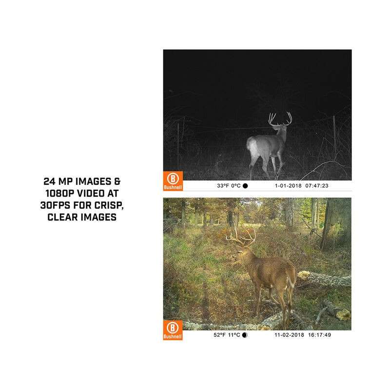 Bushnell BUSHNELL 24MP SINGLE CORE BROWN NO GLOW,  BOX