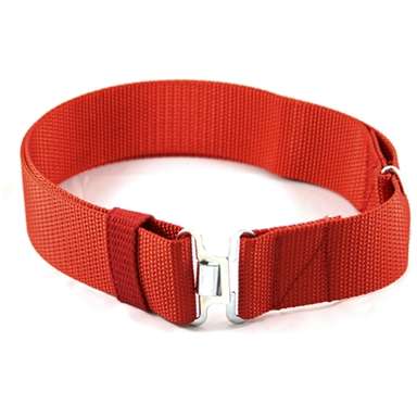 Security Web Belt - Solid Colour