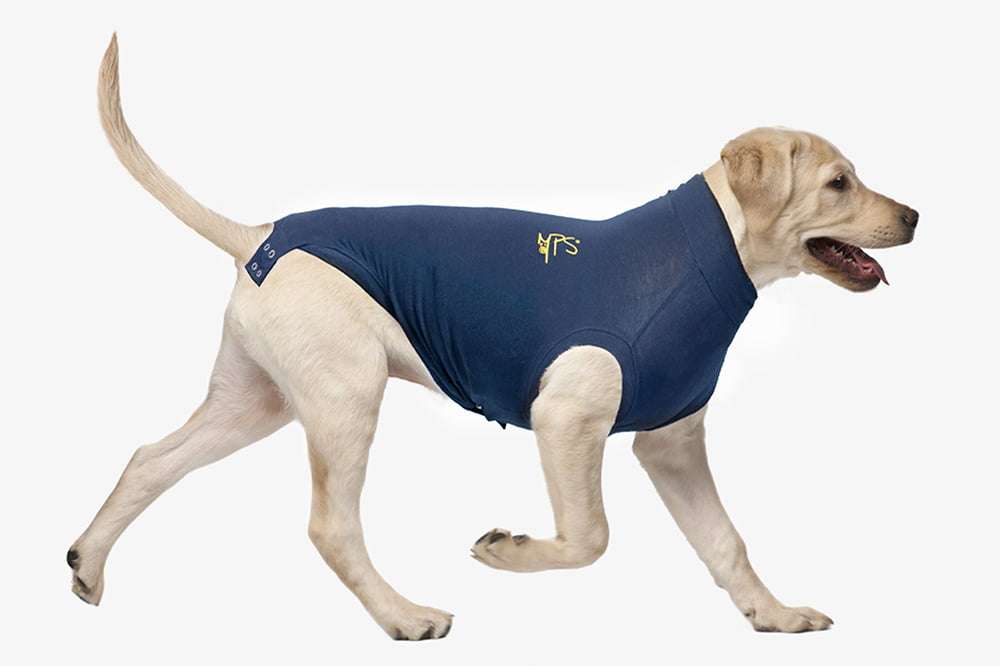MPS - Veterinary Range Shirt DOG