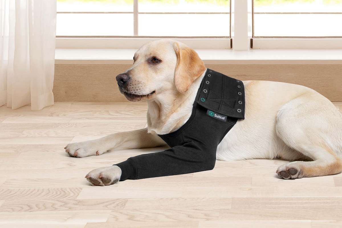 Suitical - at home Recovery Sleeve - DOG