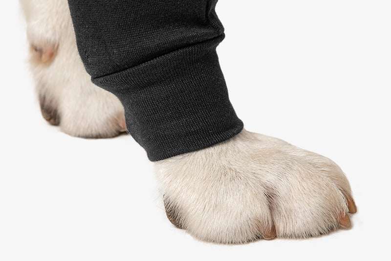 Suitical - at home Recovery Sleeve - DOG