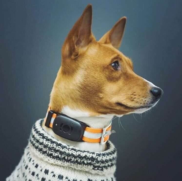 Infinity Pro GPS Pet Tracker