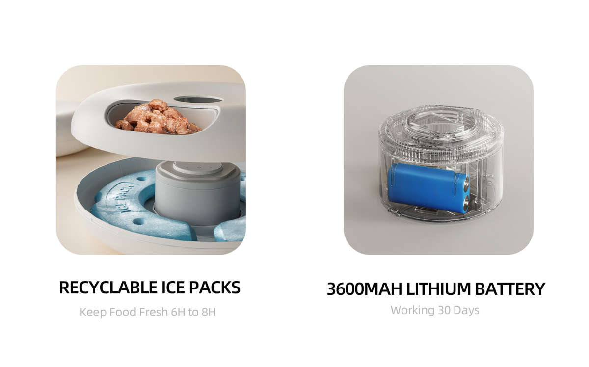 Cool Bowl Smart Feeder