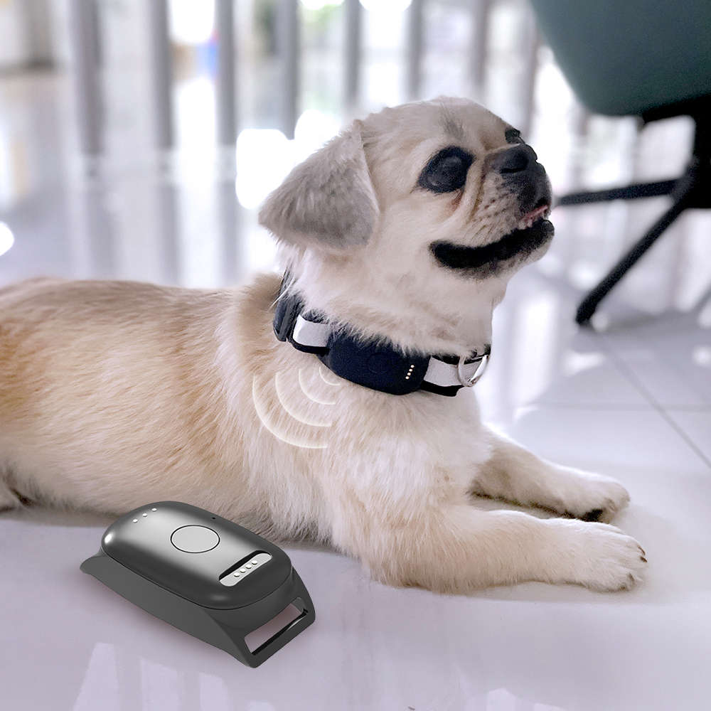 Infinity Pro GPS Pet Tracker