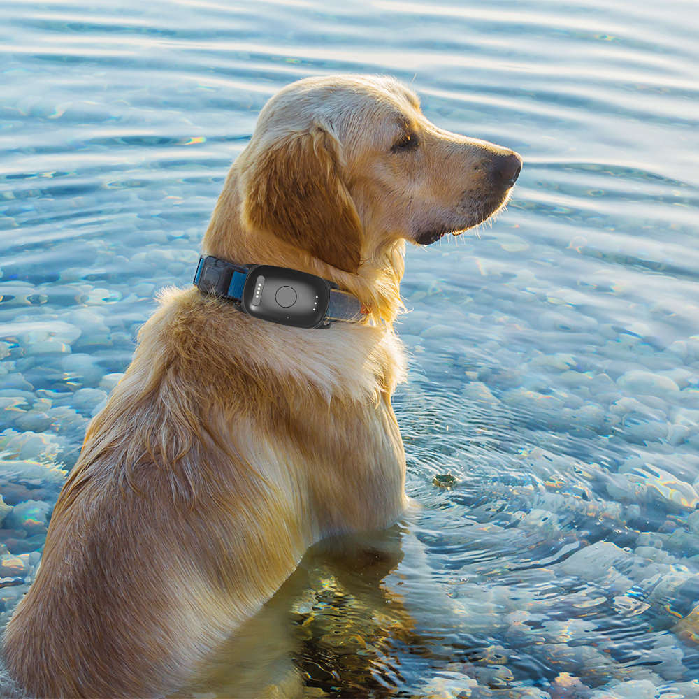 Infinity Pro GPS Pet Tracker