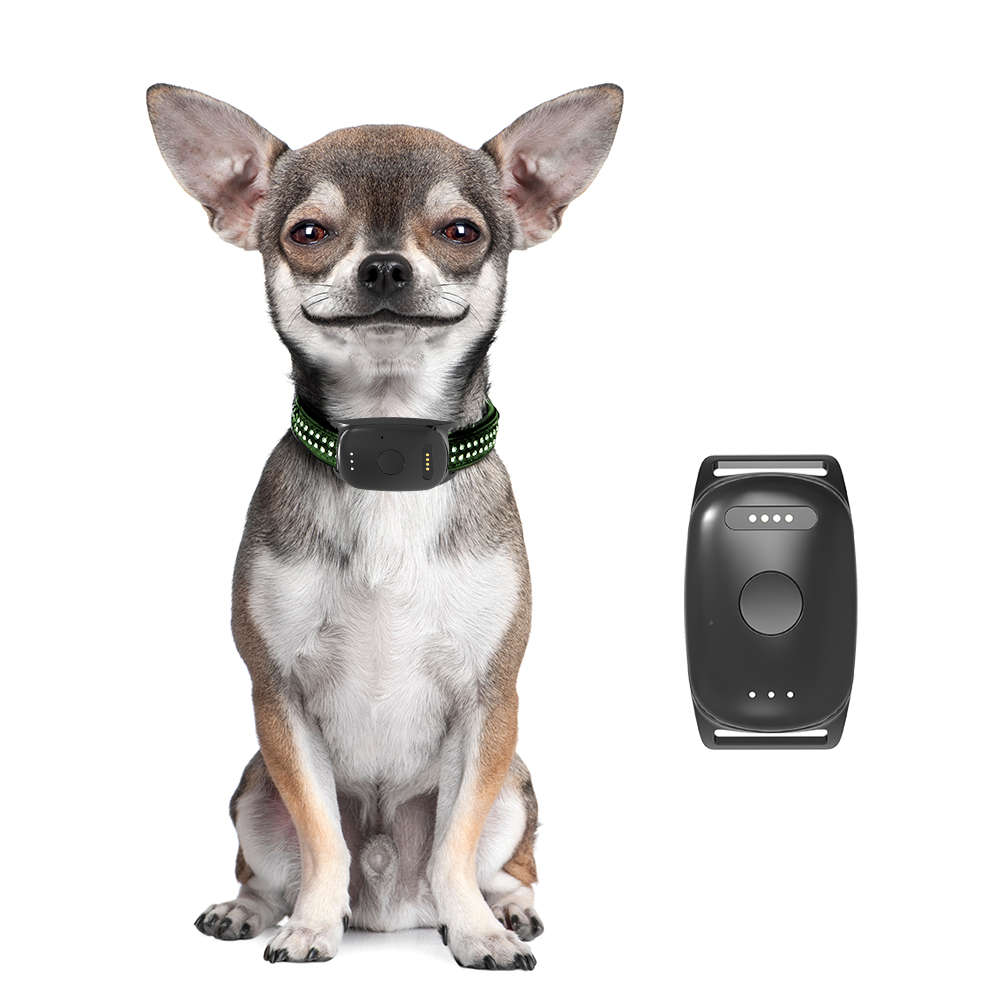 Infinity Pro GPS Pet Tracker
