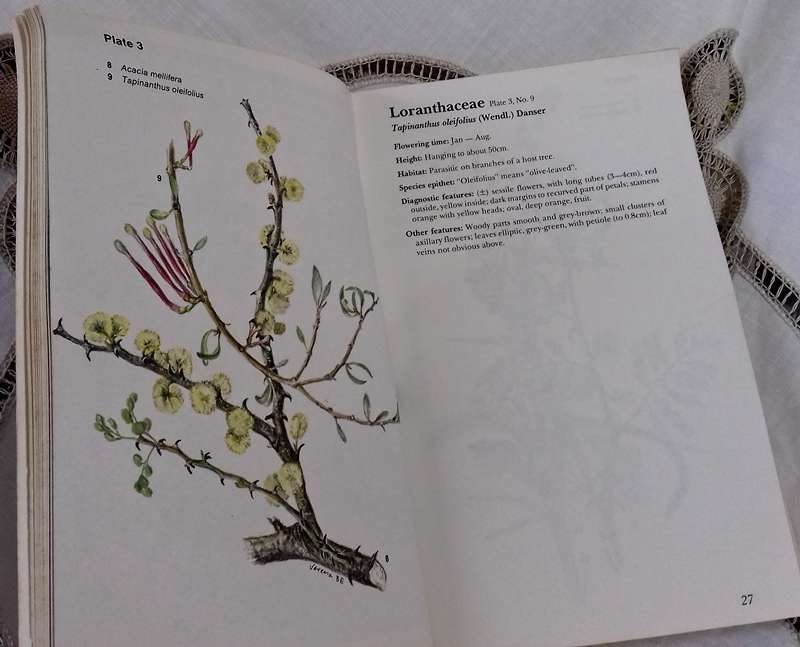 Flowering Plants of Eastern Botswana (Signed 1st Edition) and Some Protected flowers of the Cape ...