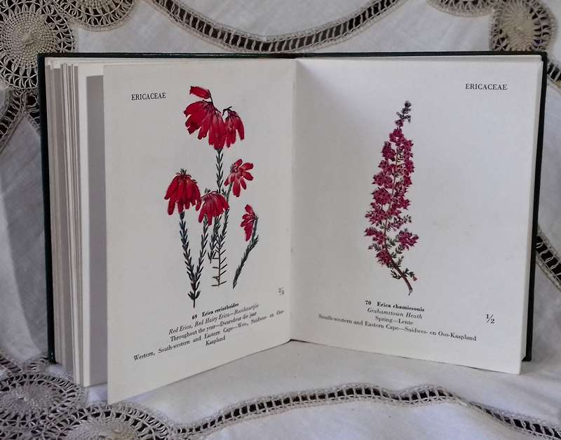 Flowering Plants of Eastern Botswana (Signed 1st Edition) and Some Protected flowers of the Cape ...
