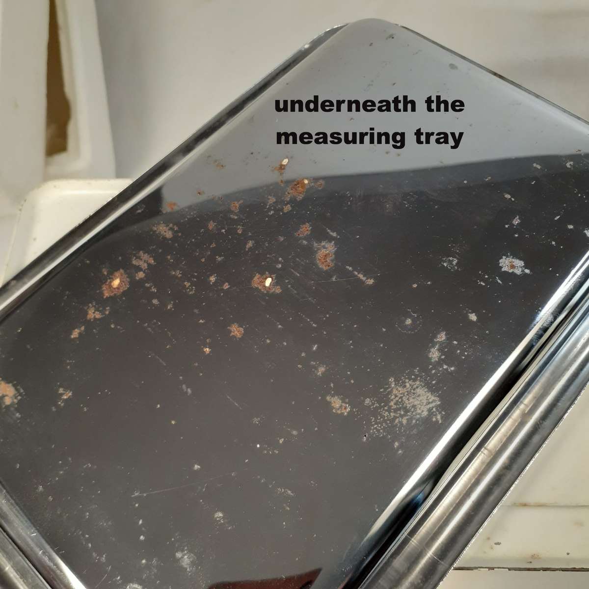 20 lb Kitchen Scale  - Tower Germany