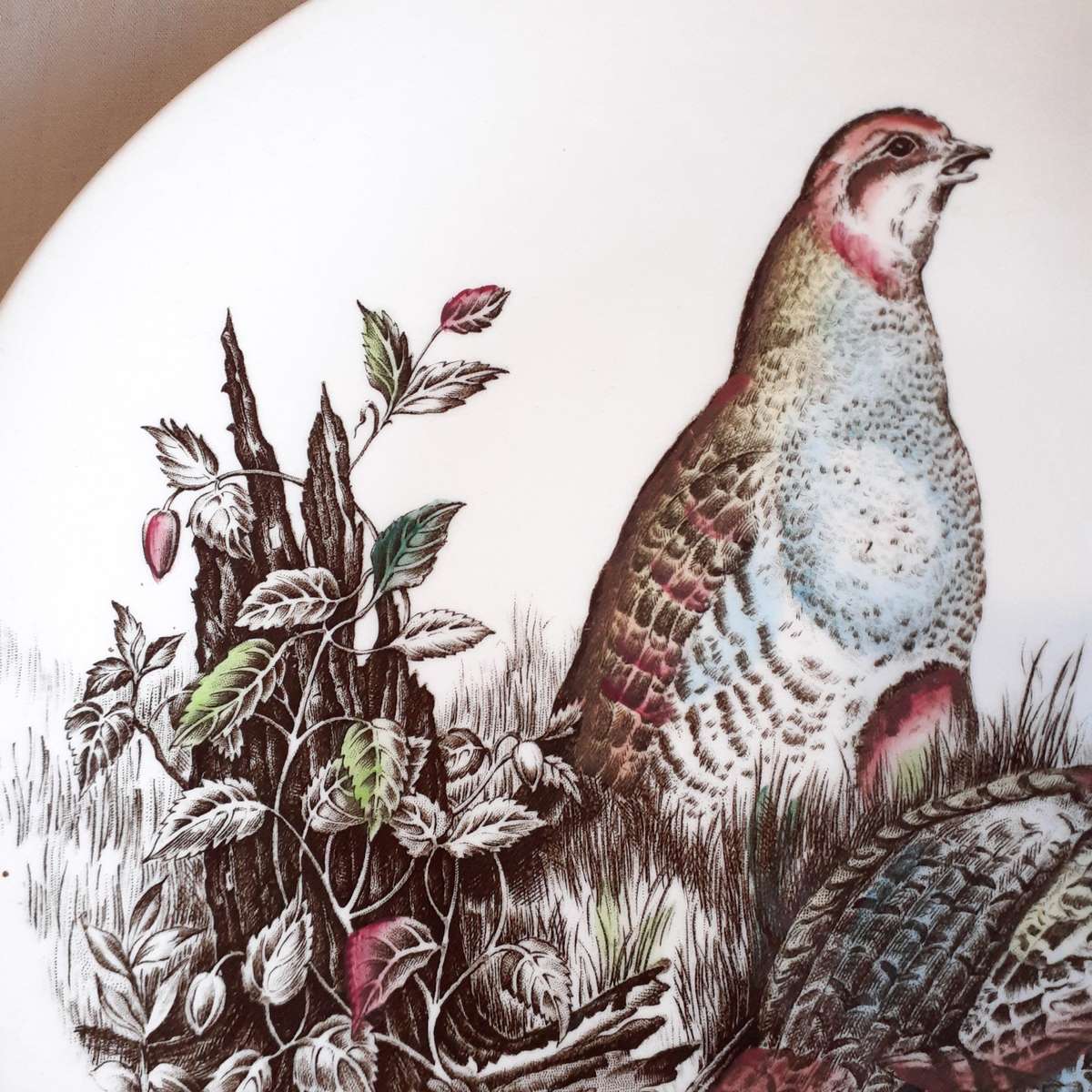 Johnson Bros Game Plates - Partridge Dinner Plate Tea Plate
