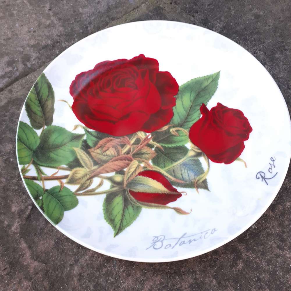 Pair of Maxwell and Williams rose plates 2012 - 18.5 cm dia