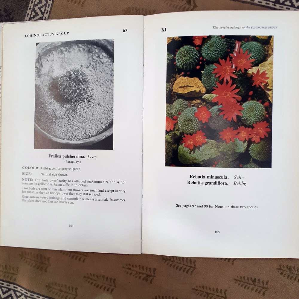 Cacti and other Succulents Edgar Lamb Vol 1 - 1963