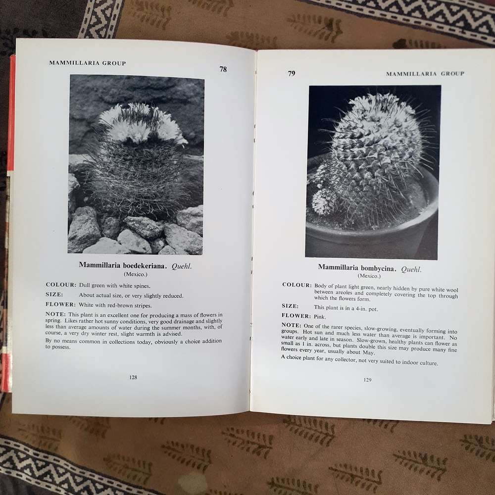 Cacti and other Succulents Edgar Lamb Vol 1 - 1963