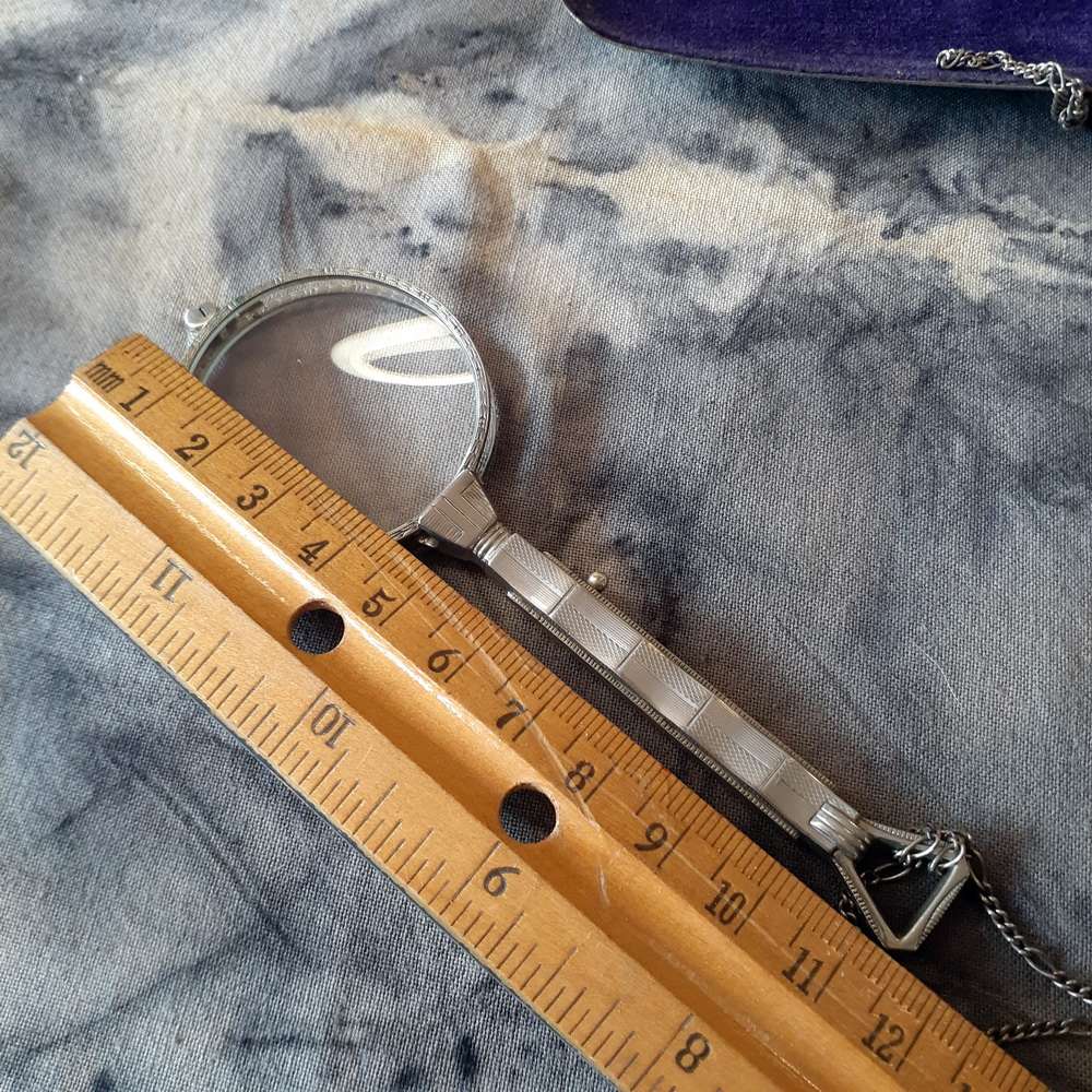 eye glasses - Lorgnette - Opera Glasses - Pinc-Nez - embossed - snap open with case