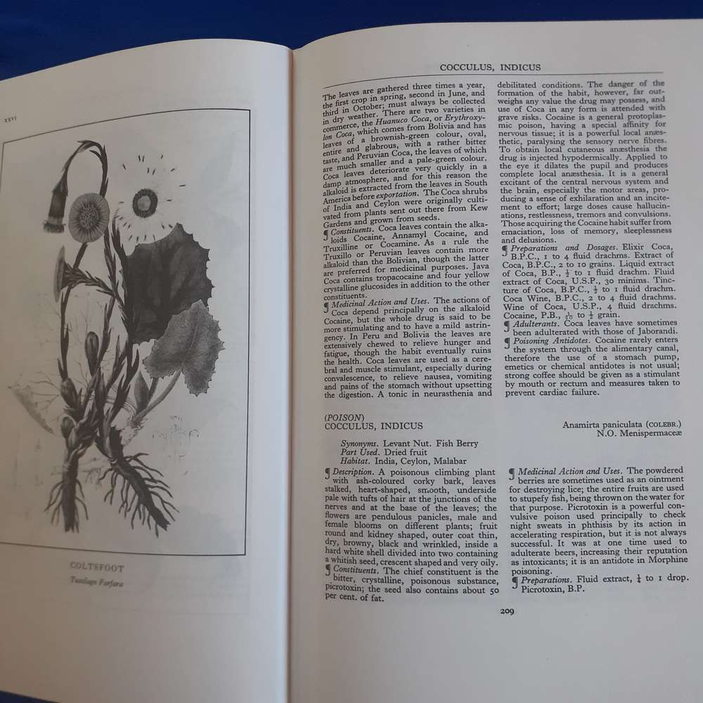 A Modern Herbal: The Medicinal, Culinary, Cosmetic, and Economic Properties etc