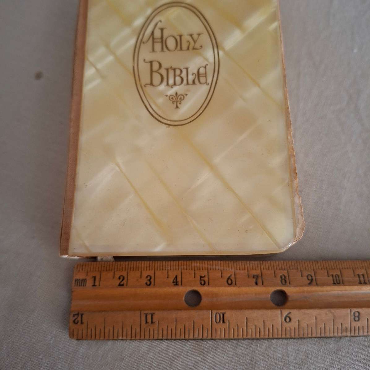 Holy Bible - St James - Brides faux mother of pearl bible - celluloid