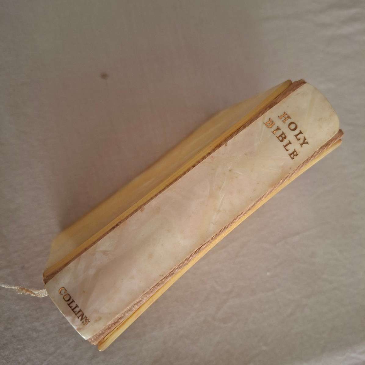 Holy Bible - St James - Brides faux mother of pearl bible - celluloid